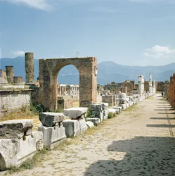 Vista del Foro con le montagne sullo sfondo